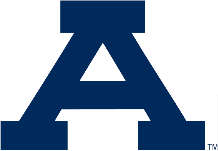Auburn Tigers 0-1970 Alternate Logo t shirts iron on transfers